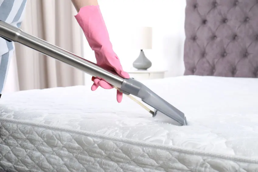 Person vacuuming mattress with gloves